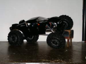 axial scorpion