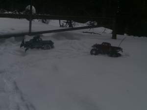 2-2010 snow crawl2